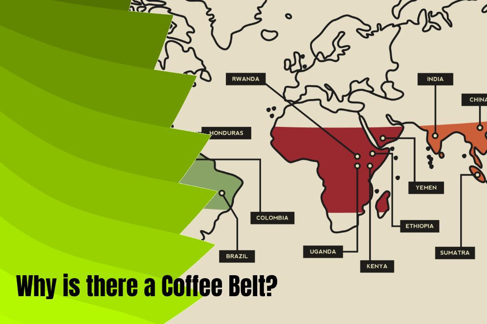 Why is there a Coffee Belt? 