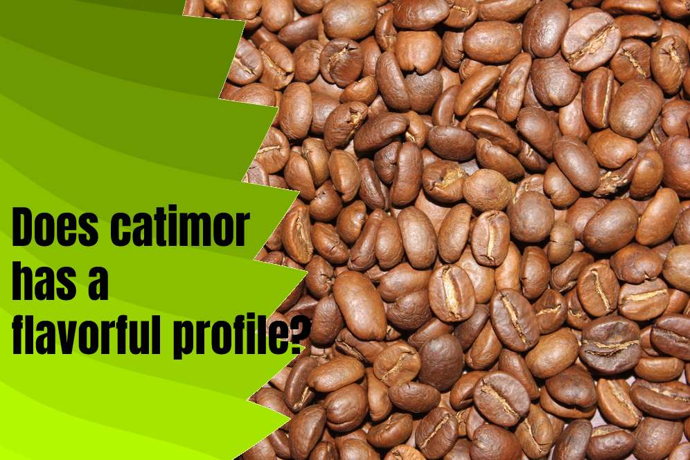 Does catimor has a flavorful profile?