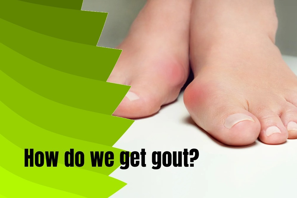 How do we get gout?