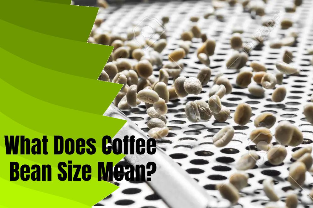 What Does Coffee Bean Size Mean?
