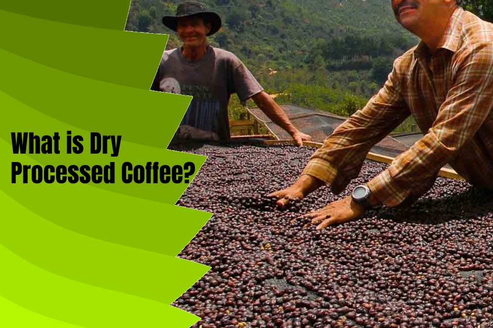 What is Dry Processed Coffee?