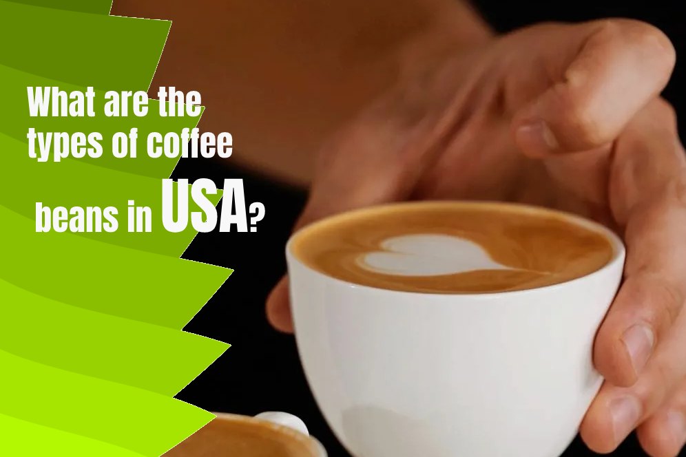 What are the types of coffee beans in USA?