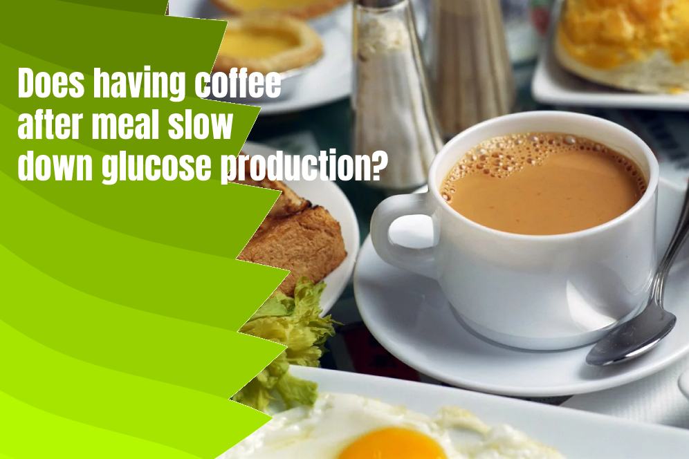 Does having coffee after meal slow down glucose production?