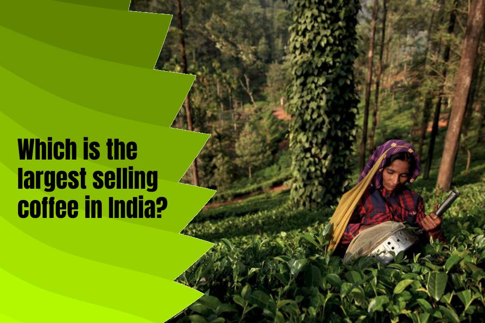 Which is the largest selling coffee in India?