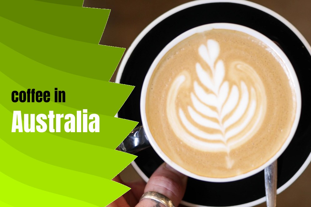 History of Coffee in Australia (Introduction of The Most Popular)