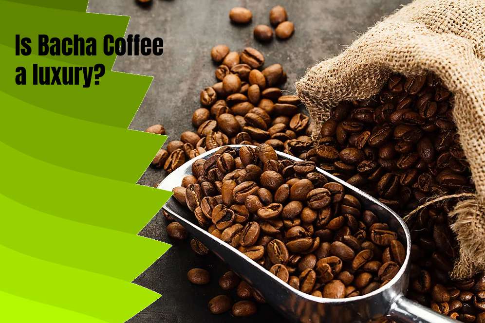 Is Bacha Coffee a luxury?