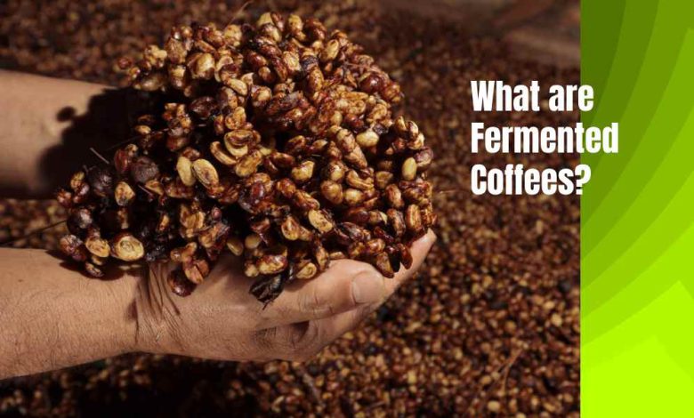 How do they ferment coffee?