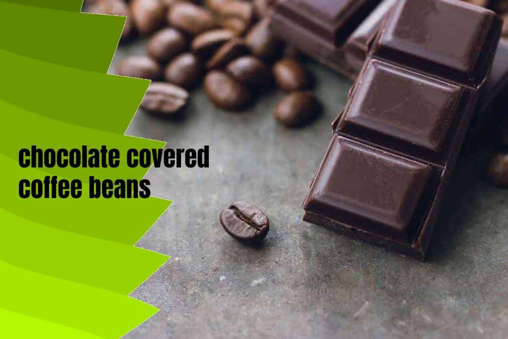 Chocolate Covered Coffee Beans (Dragées Coffee Beans) typescoffee