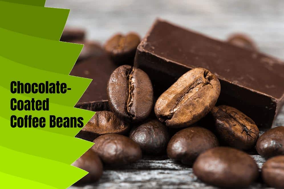 Chocolate-Coated Coffee Beans
