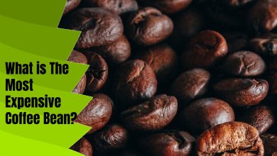 What is The Most Expensive Coffee Bean?