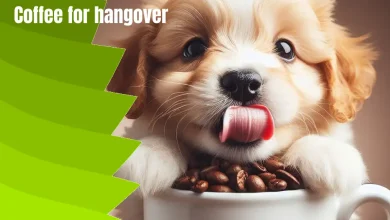 coffee for dogs