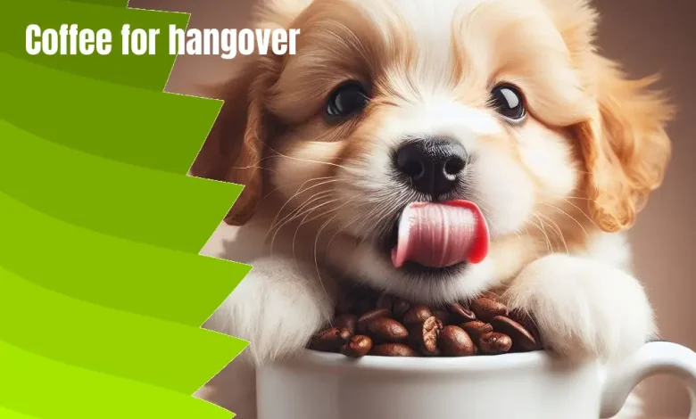 coffee for dogs