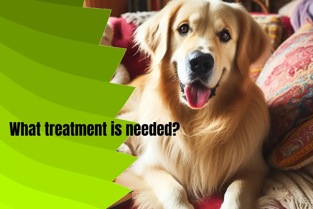 What treatment is needed?